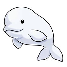 Download Beluga Whale clipart for free - Designlooter 2020 👨‍🎨