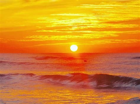 Orange Beach sunset | Orange beach, Beach sunset, Sunset