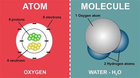 Basic Difference Between an Atom and a Molecule | YourDictionary