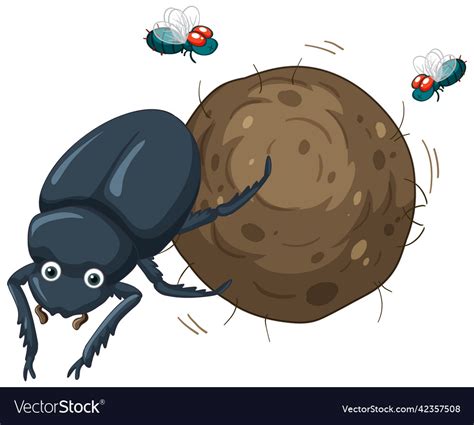 A dung beetle cartoon character Royalty Free Vector Image