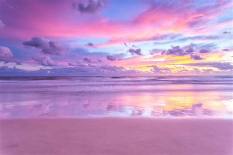 Free pink ocean Images, Pictures, and Royalty-Free Stock Photos ...