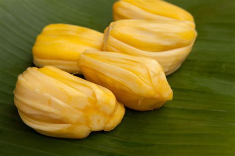 Jackfruit - Facts, Health Benefits, Nutritional Value and Pictures