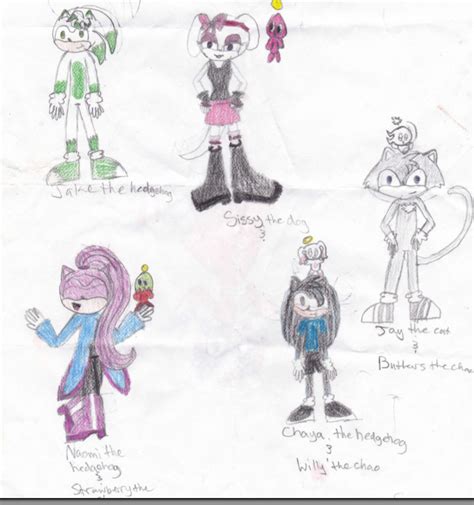 Some of my sonic ocs - Sonic OCs Fan Art (15115399) - Fanpop