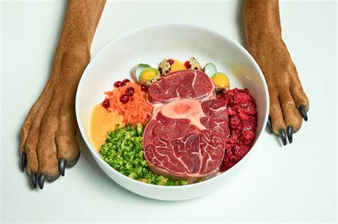 Feeding Fido: The Pros & Cons of a Raw Food Diet - Outside Rein