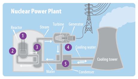 Describe the Use of Nuclear Power