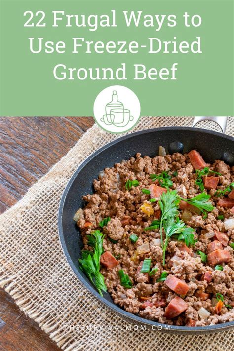 22 Frugal Ways to Use Freeze-Dried Ground Beef | Recipe | Ground beef, Freeze drying food ...