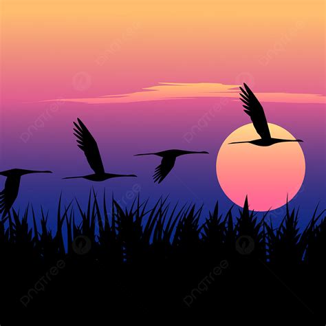 Flying Birds In Sunset Background, Background, Wallpaper, Nature Background Image And Wallpaper ...