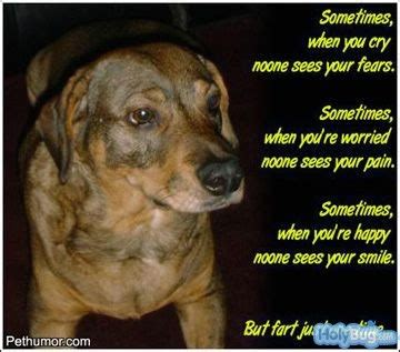 Funny wallpapers|HD wallpapers: funny dog poems