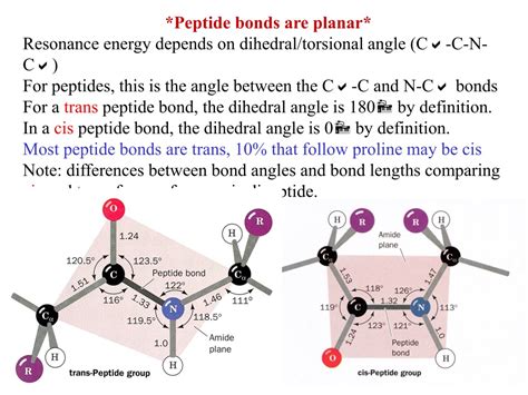 PPT - Secondary Structure The peptide group Alpha helices and beta sheets PowerPoint ...