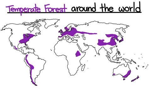 Biomes: Temperate - Expii