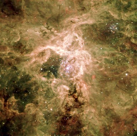 Tarantula Nebula - 30 Doradus (NGC 2070) | Constellation Guide