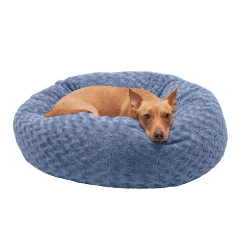 Wayfair | Medium Dog Beds You'll Love in 2023