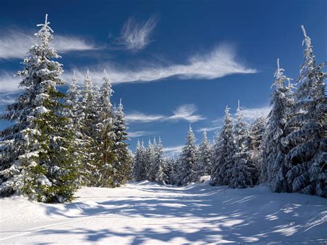 Winter Wonderland II | Winter scenes, Winter photos, Colorado landscape