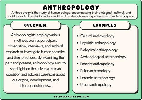 17 Anthropology Examples (2024)