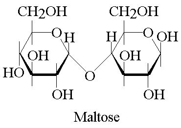 Maltose Molecule Structure Sketch Coloring Page