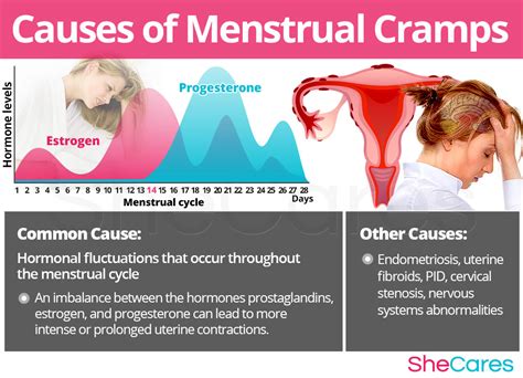 Menstrual Cramps | SheCares