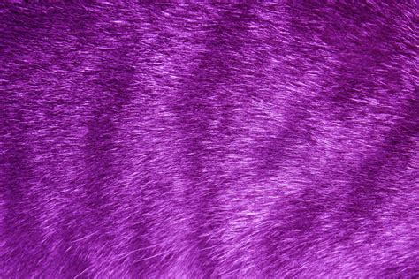 Purple Fur Wallpaper - WallpaperSafari