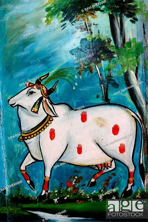 Indian Cow Paintings