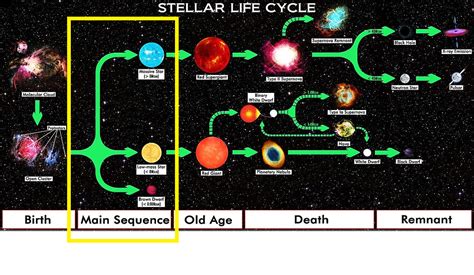 Life Cycle Of A White Dwarf