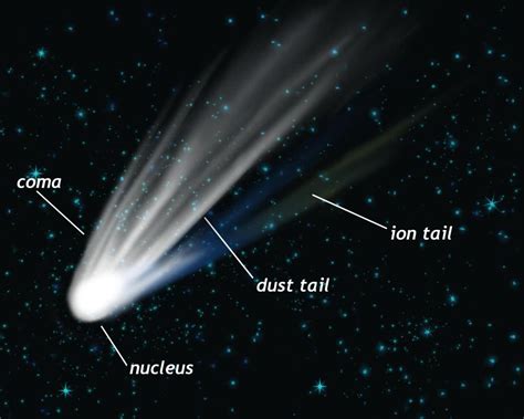 Oort Cloud and Comets