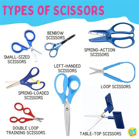 Types of Scissors and Why to Use Each Type - The OT Toolbox