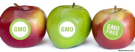 How GMO Food Labeling Regulations Affect Retail Packaging?