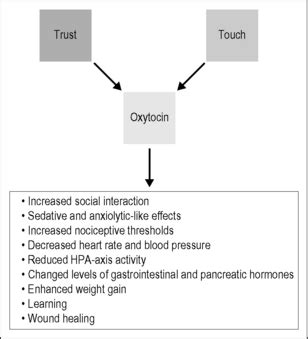 Role of oxytocin and oxytocin-related effects in manual therapies | Musculoskeletal Key