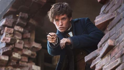 42 Magical Facts About Newt Scamander