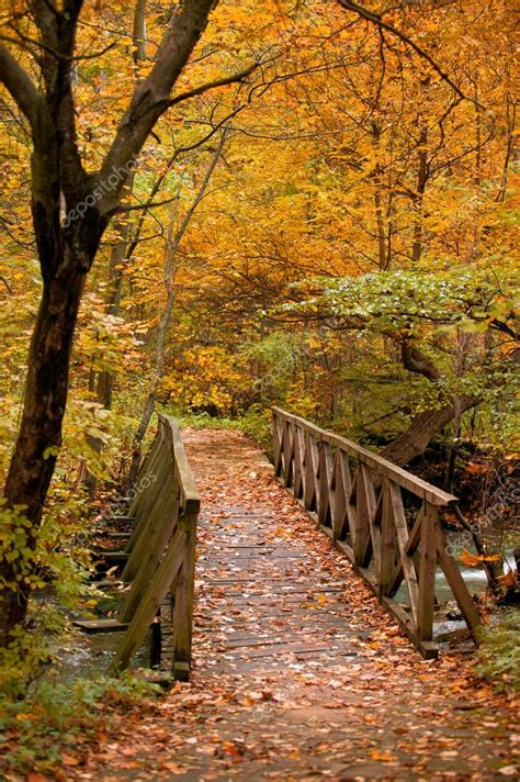 Autumn scenery with a bridge — Stock Photo © mazzachi #9148644