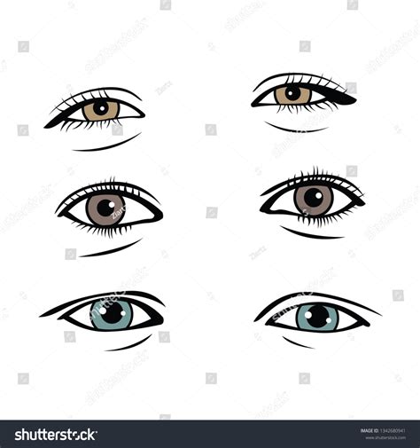 Vector Avatar Eye Stock Vector (Royalty Free) 1342680941