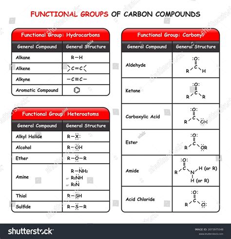 Functional Groups Carbon Compounds Infographic Diagram Stock Vector (Royalty Free) 2073975548 ...