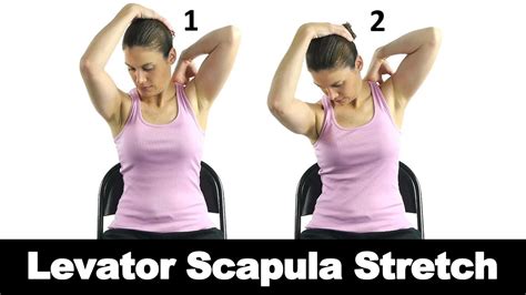 Levator Scapulae Stretch