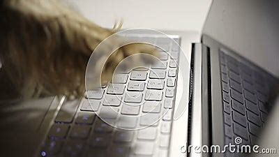 Dog`s Paws are Typing Text on a Laptop. Stock Footage - Video of space, isolated: 104502716