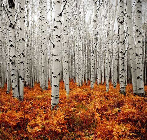 These 20+ Beautiful Autumn Photos Will Inspire You To Grab Your Camera | Bored Panda