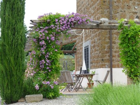 19 Best Pergola Plants | Climbing Plants for Pergolas and Arbors ...