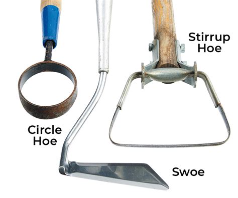 How to choose the right garden hoe | Garden Gate