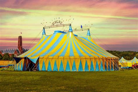 Circus Tent backdrop - Mybackdrop.co.uk