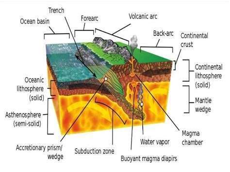 Wiring And Diagram: Diagram Trench Ocean