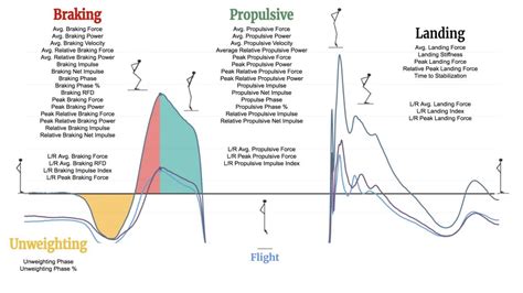 Countermovement Jump Metrics – BARWIS Anywhere