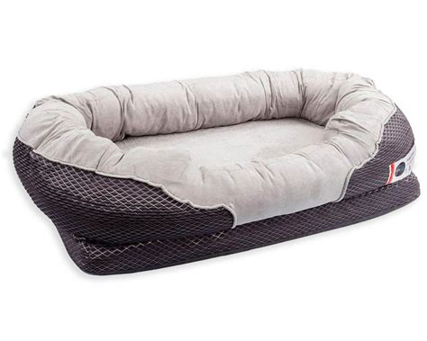 12 Best Orthopedic Dog Beds for Arthritis - Hey, Djangles.