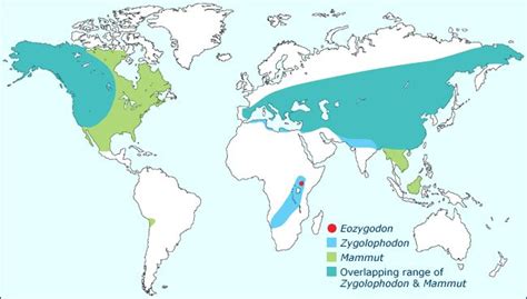 Global mastodon distributions. Eozygodon morotoensis is the earliest ...