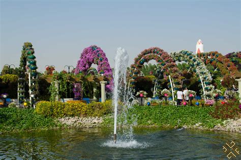 Dubai Miracle Garden: A flower paradise - Passion for Dubai