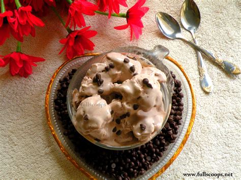 Chocolate Ice Cream Recipe ~ Full Scoops - A food blog with easy,simple & tasty recipes!