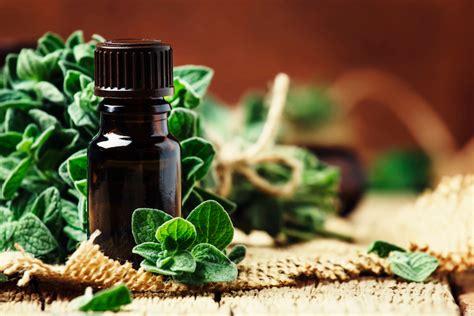 Marjoram Essential Oil: 10 Reasons Why You Should Buy You a Bottle Today • Made With Oils