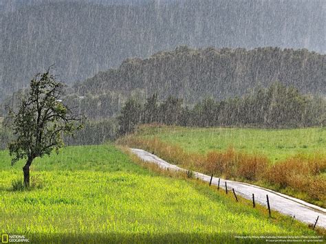 rain green | I miei colori TRUE -COOL SUMMER | Pinterest | Rain, Green and Summer