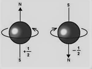 An Idea on Electron Spin Quantum Number