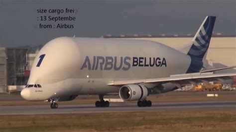 Airbus Beluga Xl Vs Boeing Dreamlifter : Boeing Dreamlifter Vs Airbus Beluga Xl / Airbus et ...