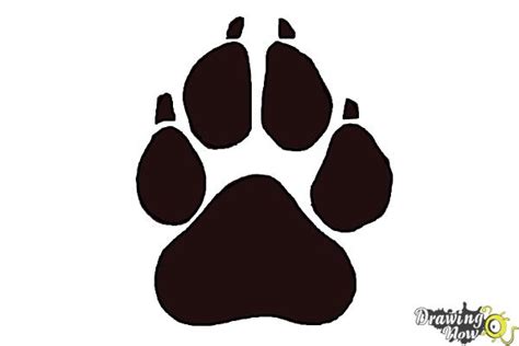 How to Draw a Paw Print - DrawingNow