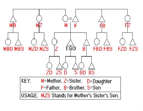 Free Kinship Diagram Generator