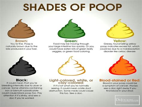 Can antibiotics turn your poop green